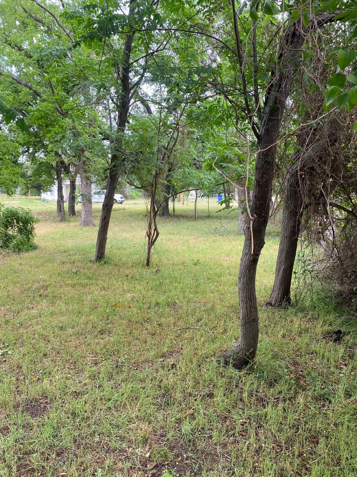 304 Walker Street Waco TX 76704