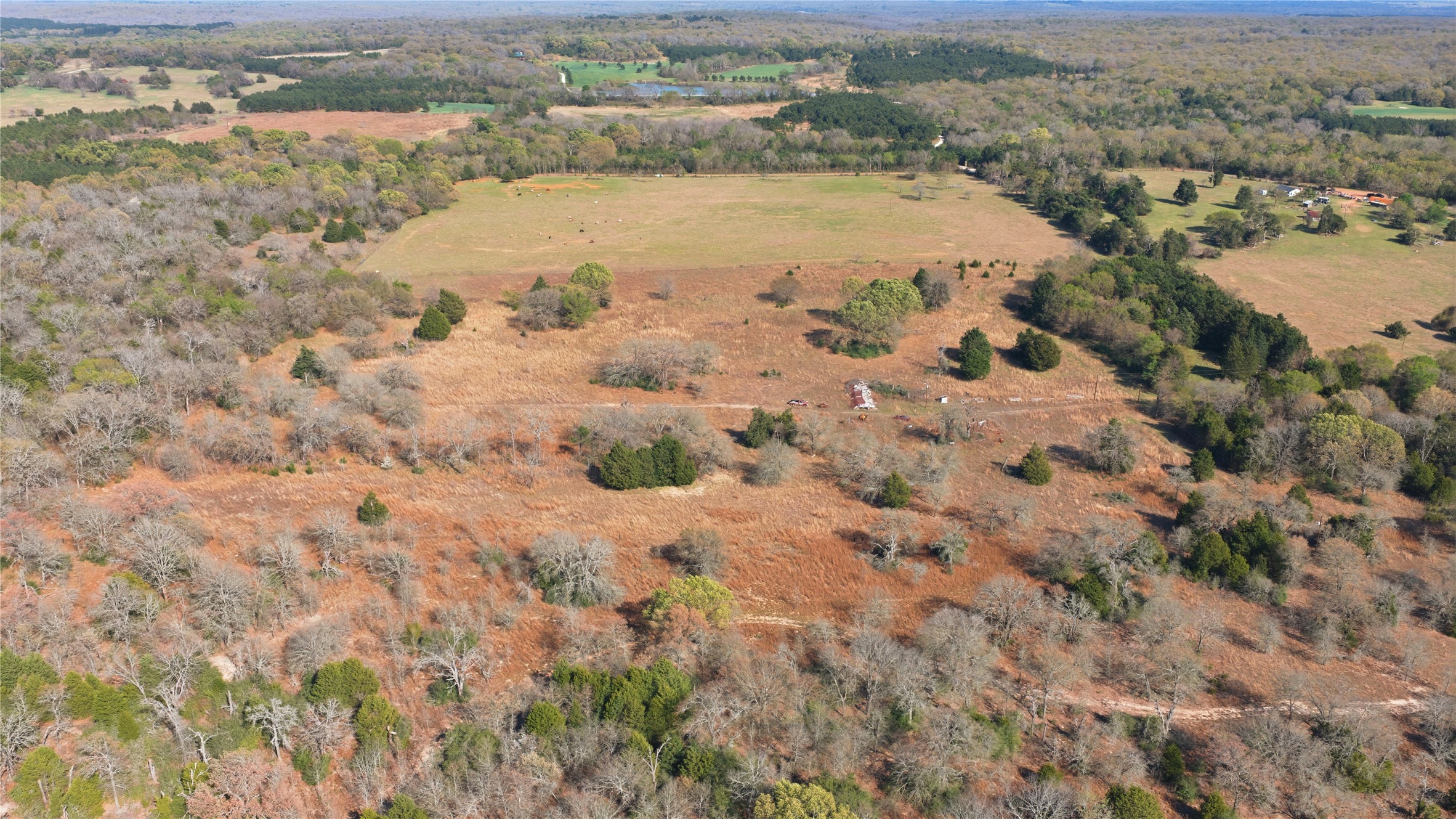 14574 Cr 1114 Athens TX 75751