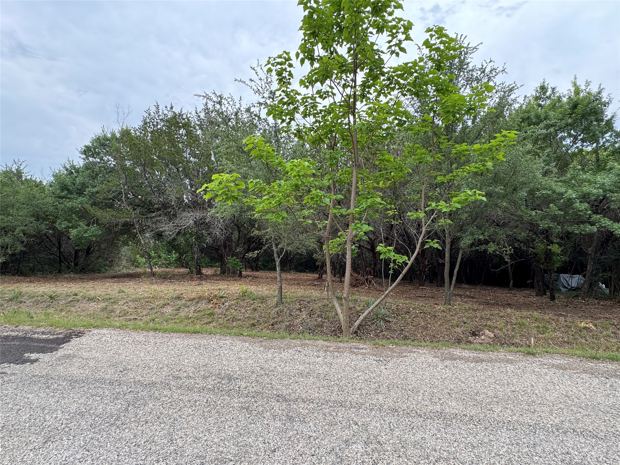 2601 Hillside Drive Granbury TX 76048