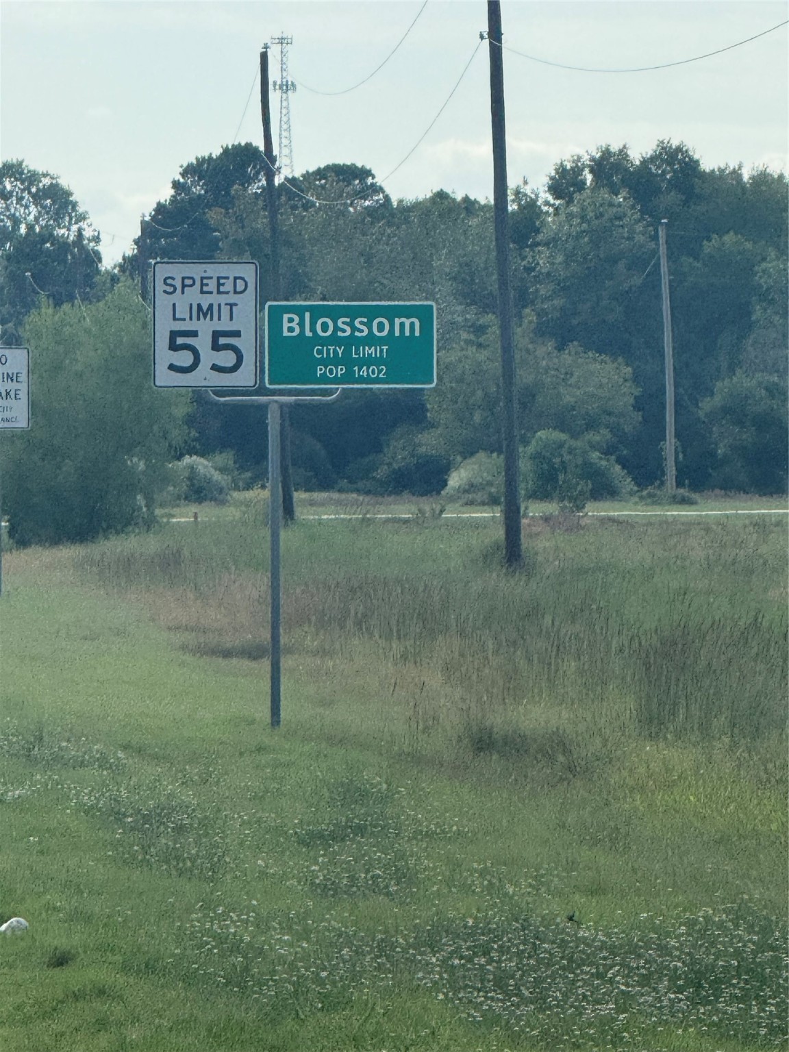 Tbd E 82 Highway E Blossom TX 75416