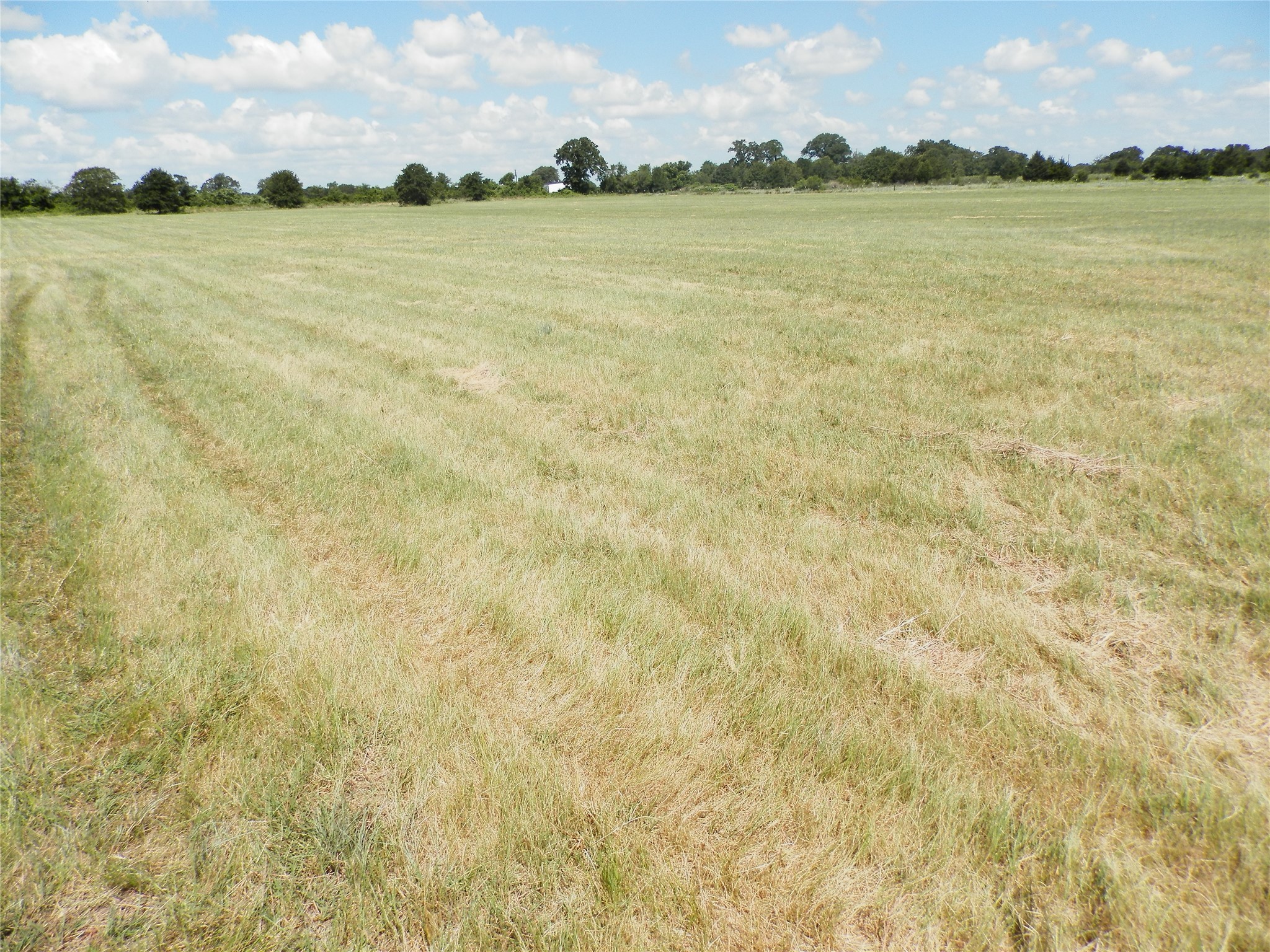 00 Cr-1560 Chico TX 76431