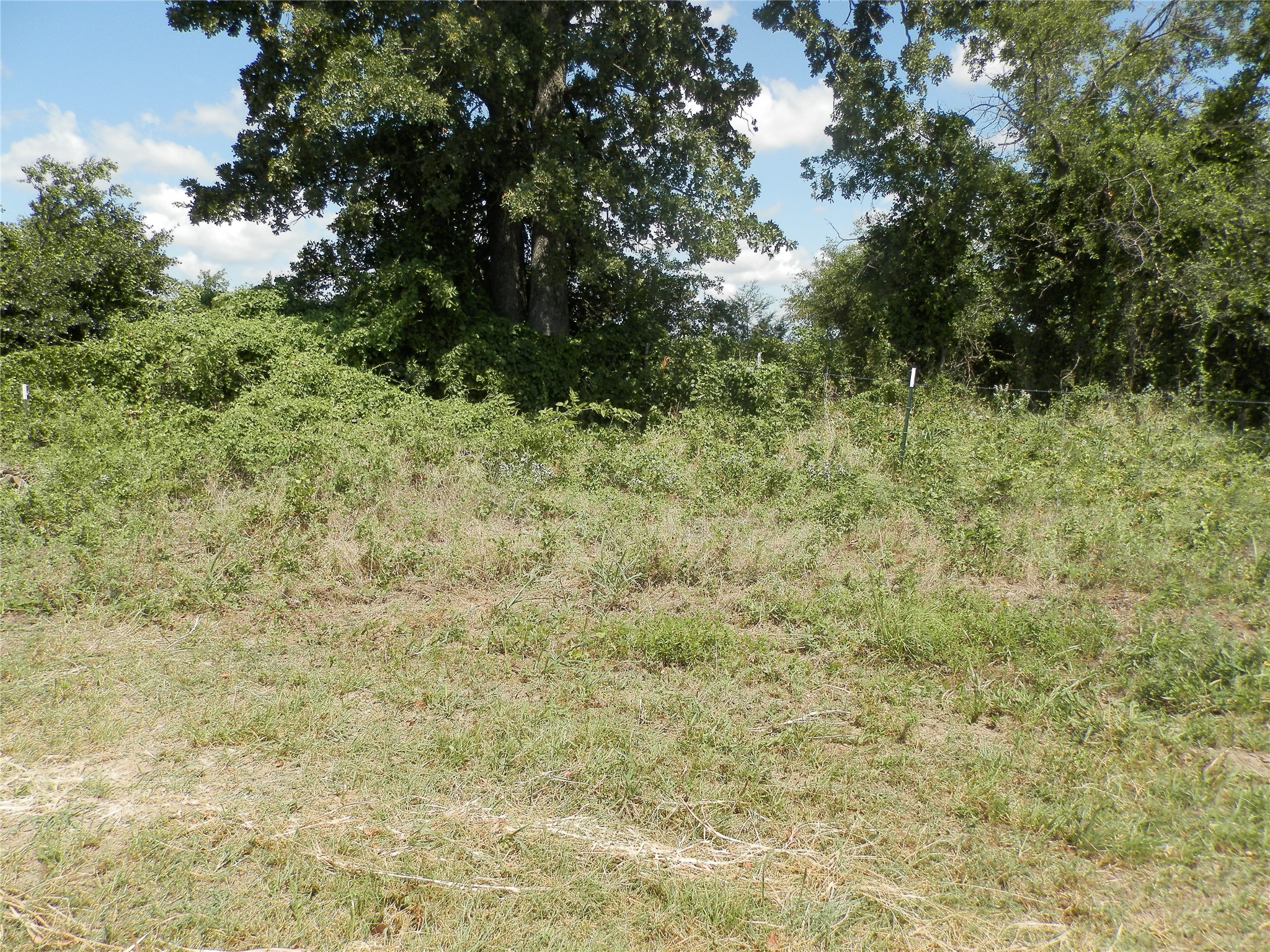 00 Cr-1560 Chico TX 76431