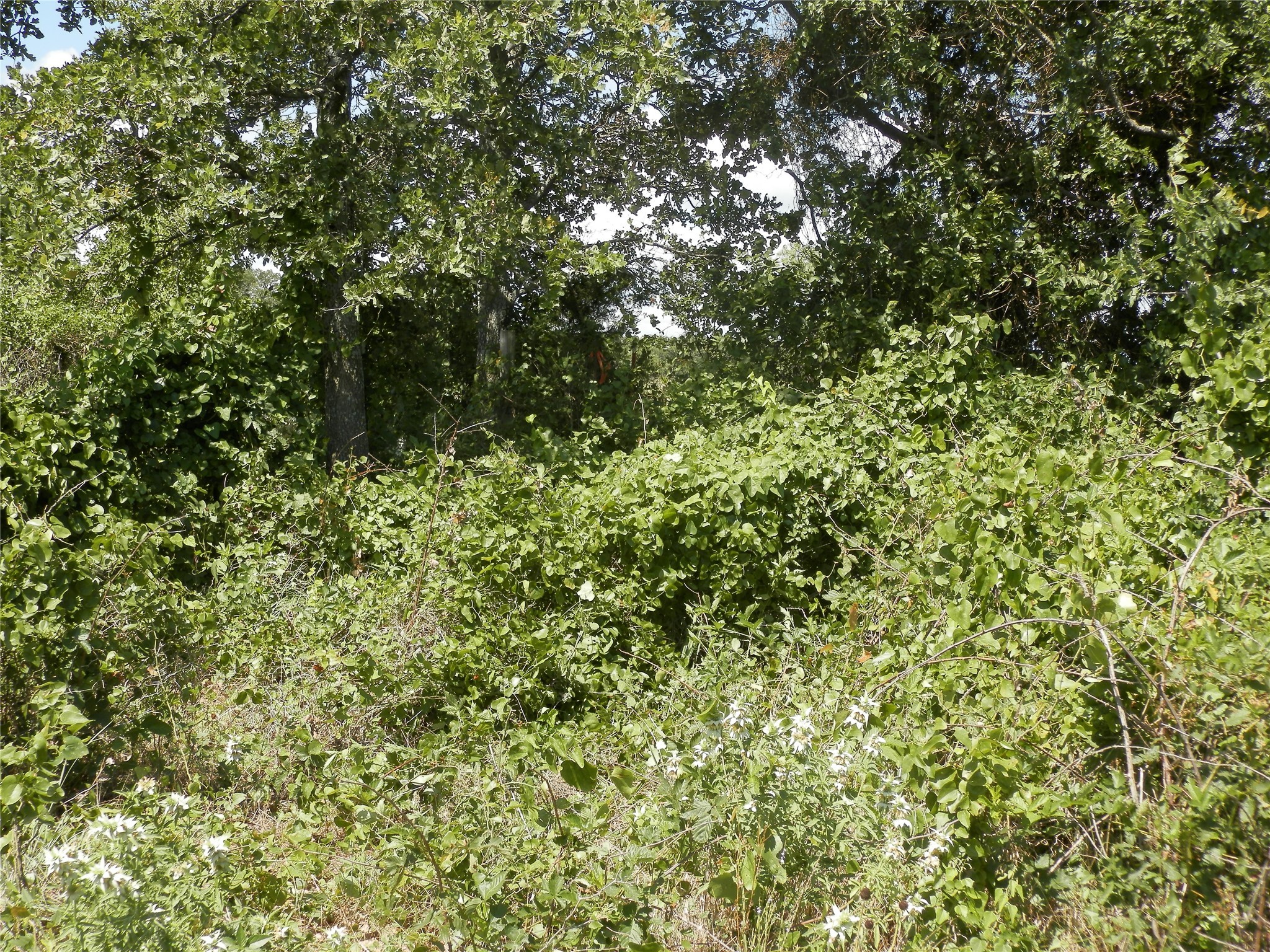 00 Cr-1560 Chico TX 76431