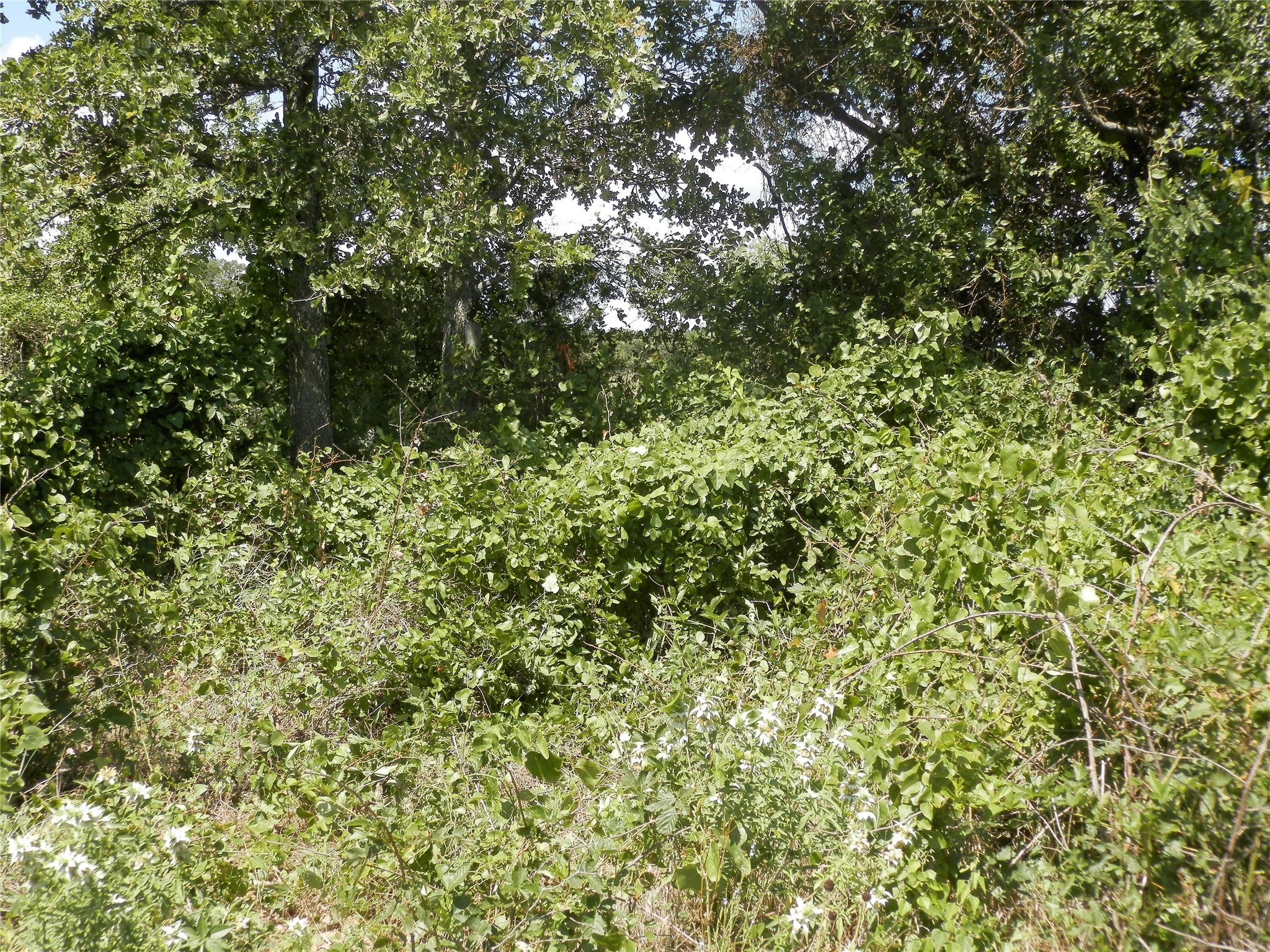 00 Cr-1560 Chico TX 76431
