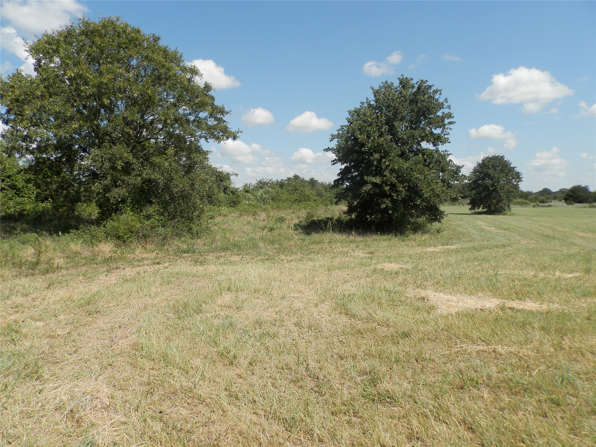 00 Cr-1560 Chico TX 76431