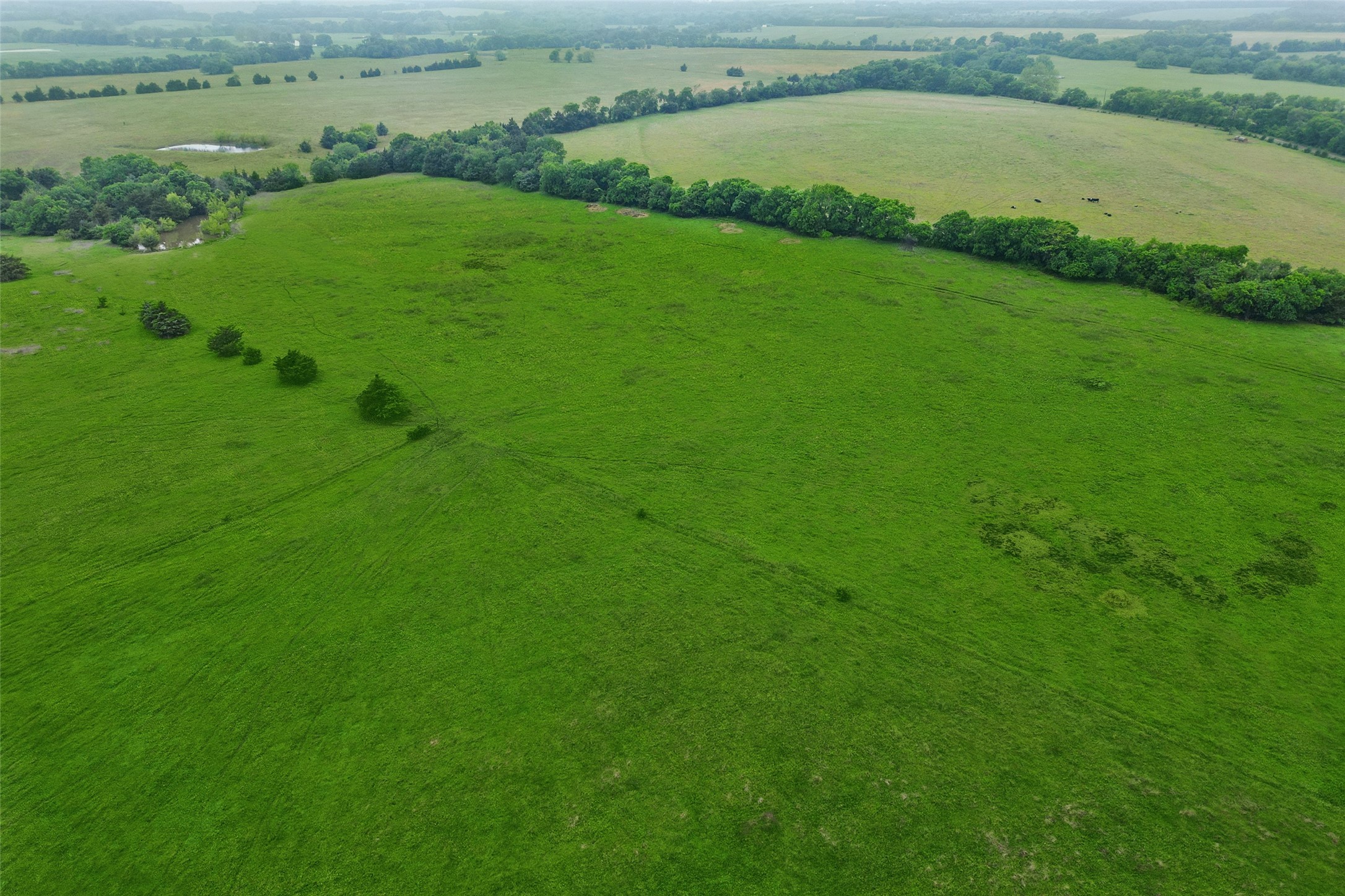 4130 County Road 4130 Bonham TX 75418