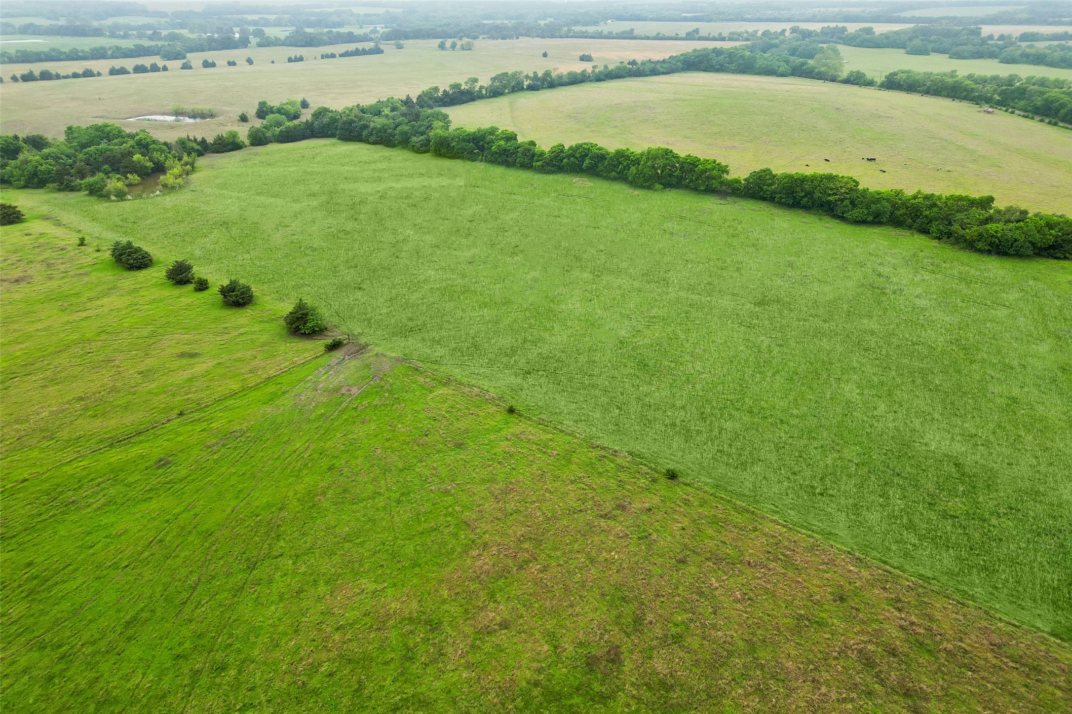 4130 County Road 4130 Bonham TX 75418