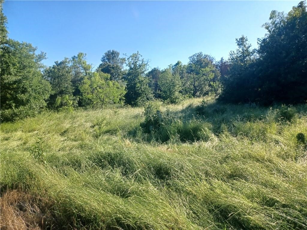 Tbd W Highway 84 Mexia TX 76667