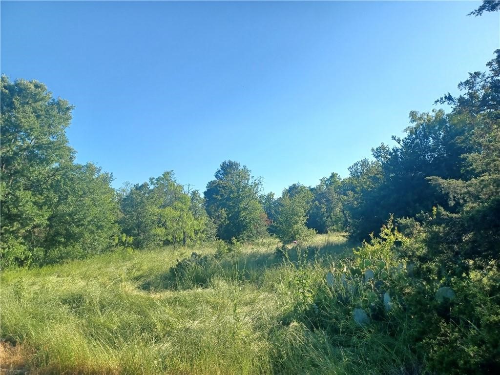 Tbd W Highway 84 Mexia TX 76667