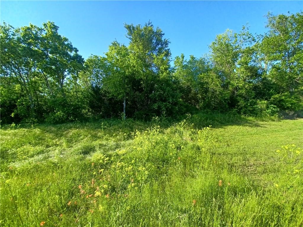 Tbd W Highway 84 Mexia TX 76667
