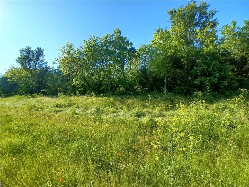 Tbd W Highway 84 Mexia TX 76667