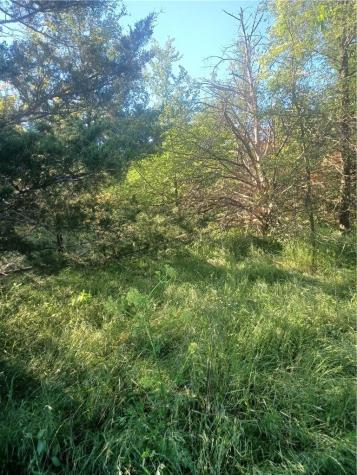 Tbd W Highway 84 Mexia TX 76667
