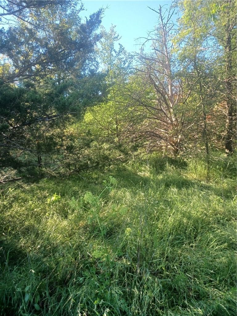 Tbd W Highway 84 Mexia TX 76667