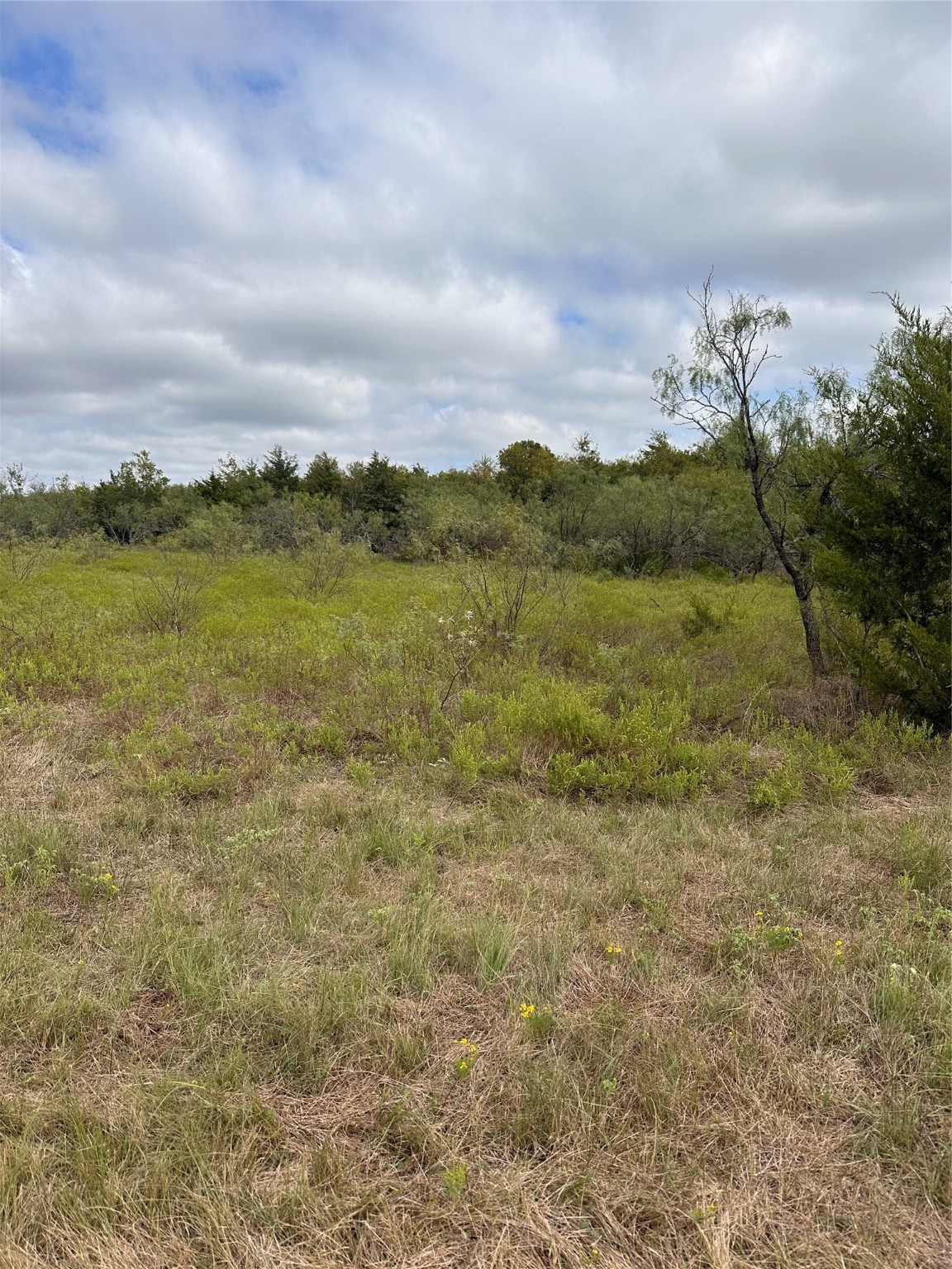 0 Cr-237a Terrell TX 75160