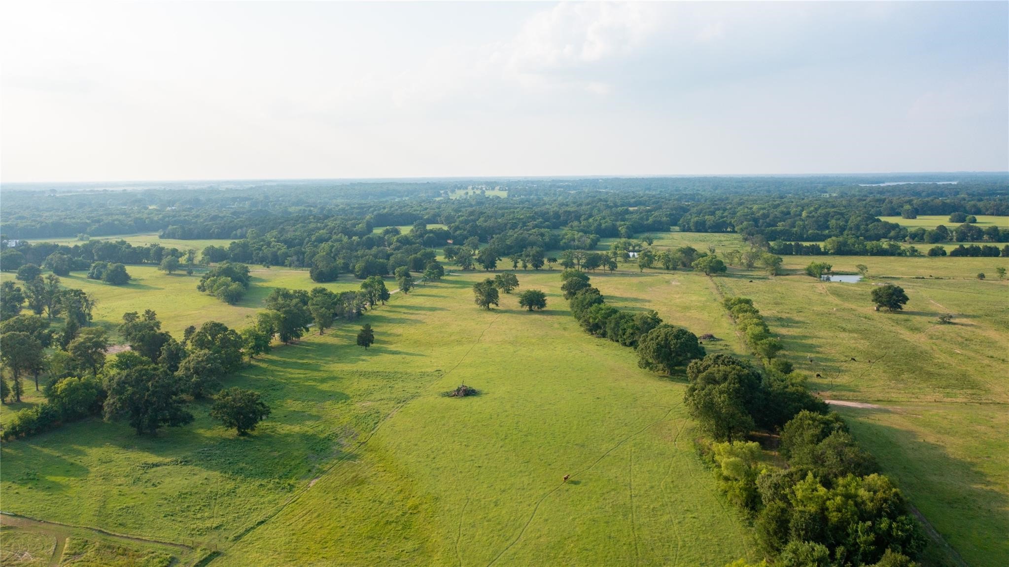 Tbd Fm 316 N Eustace TX 75124