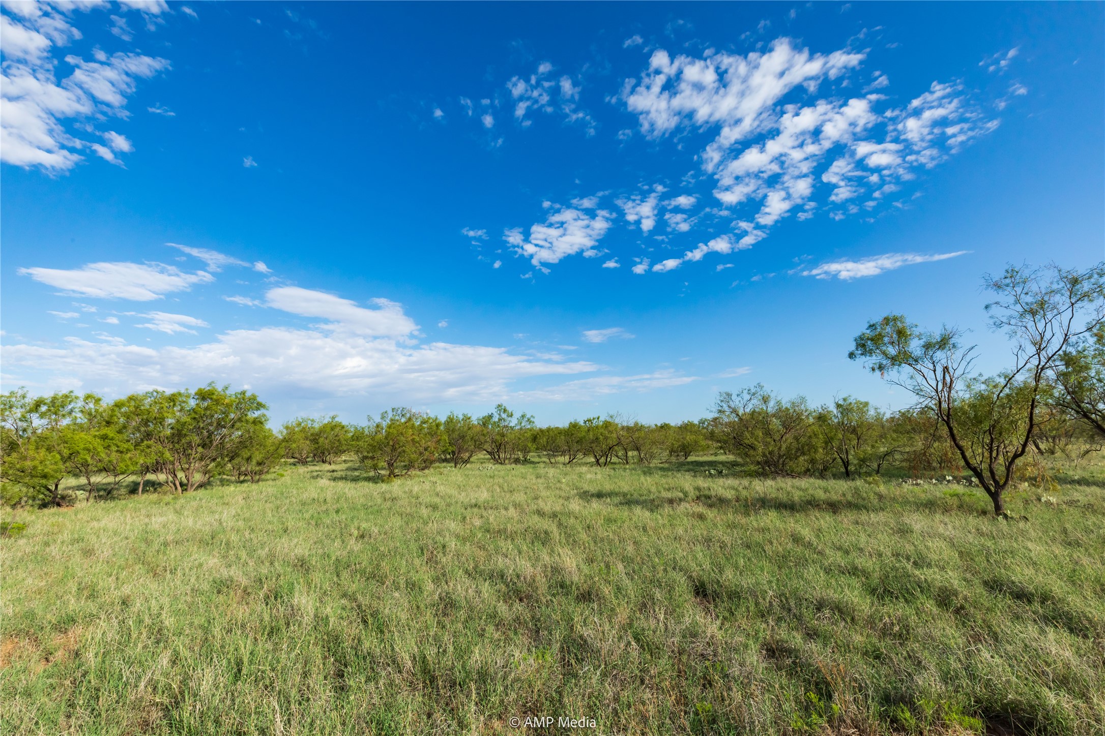 Tbd Cr 252 Colorado City TX 79512
