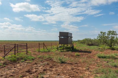 Tbd Cr 252 Colorado City TX 79512