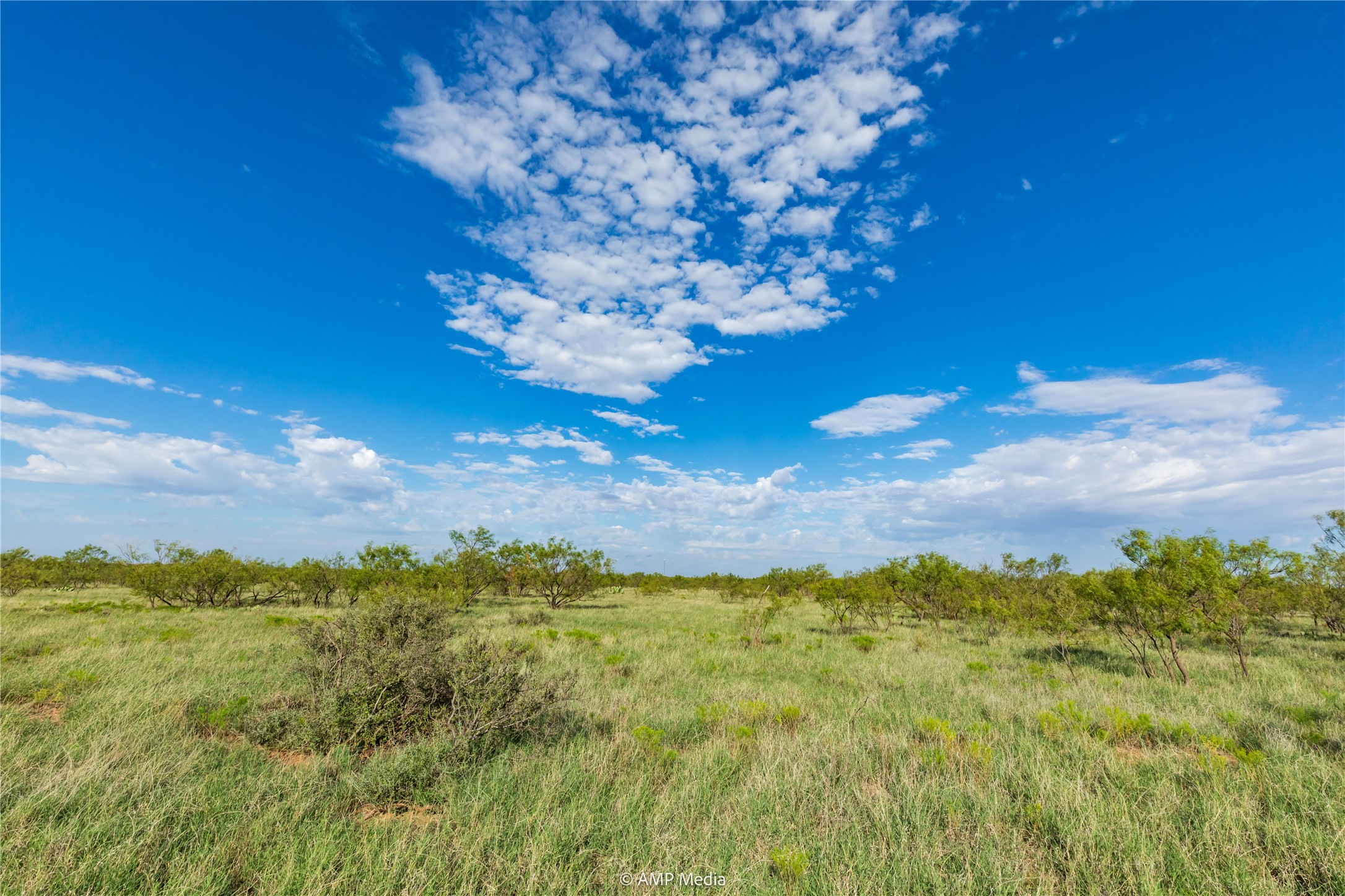 Tbd Cr 252 Colorado City TX 79512