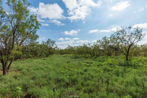 Tbd Cr 252 Colorado City TX 79512