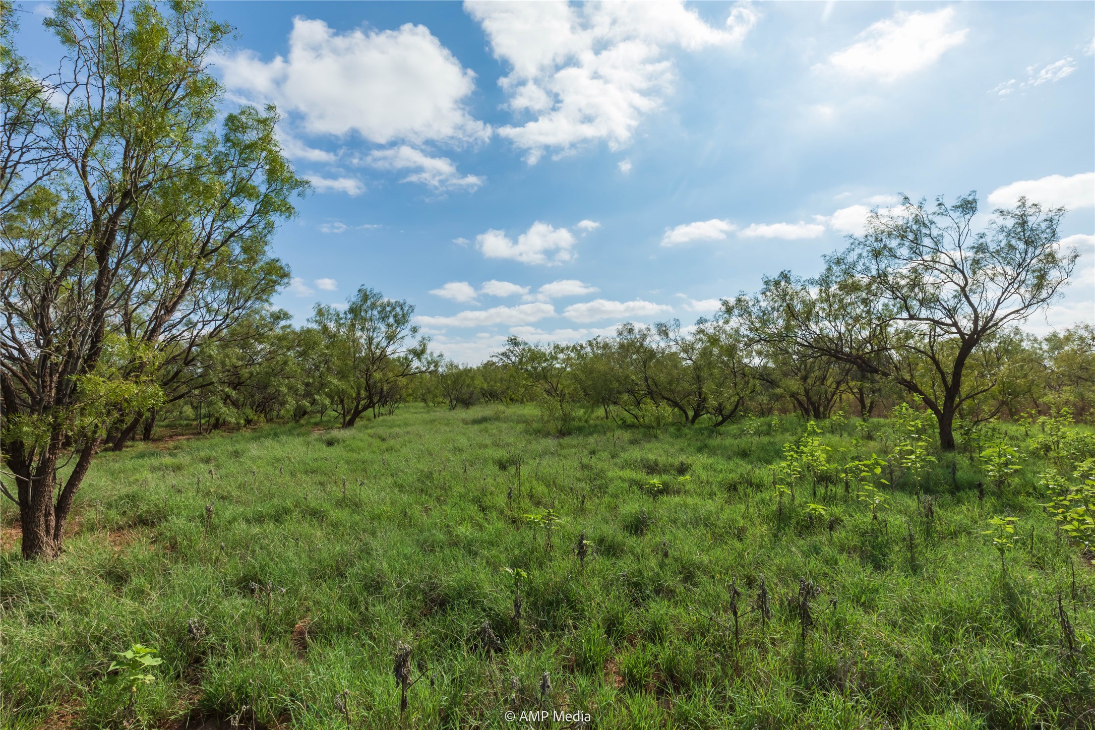 Tbd Cr 252 Colorado City TX 79512