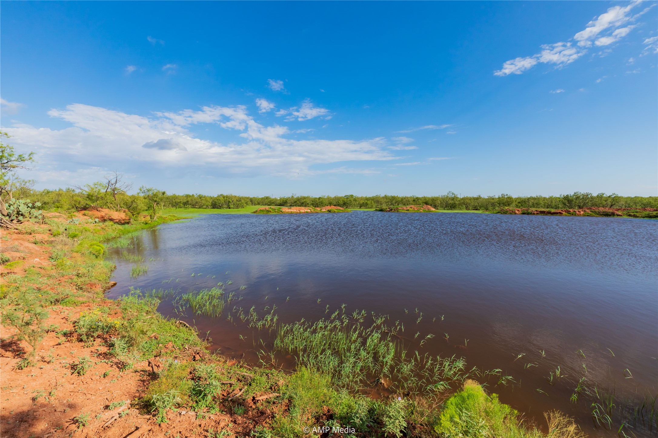 Tbd Cr 252 Colorado City TX 79512