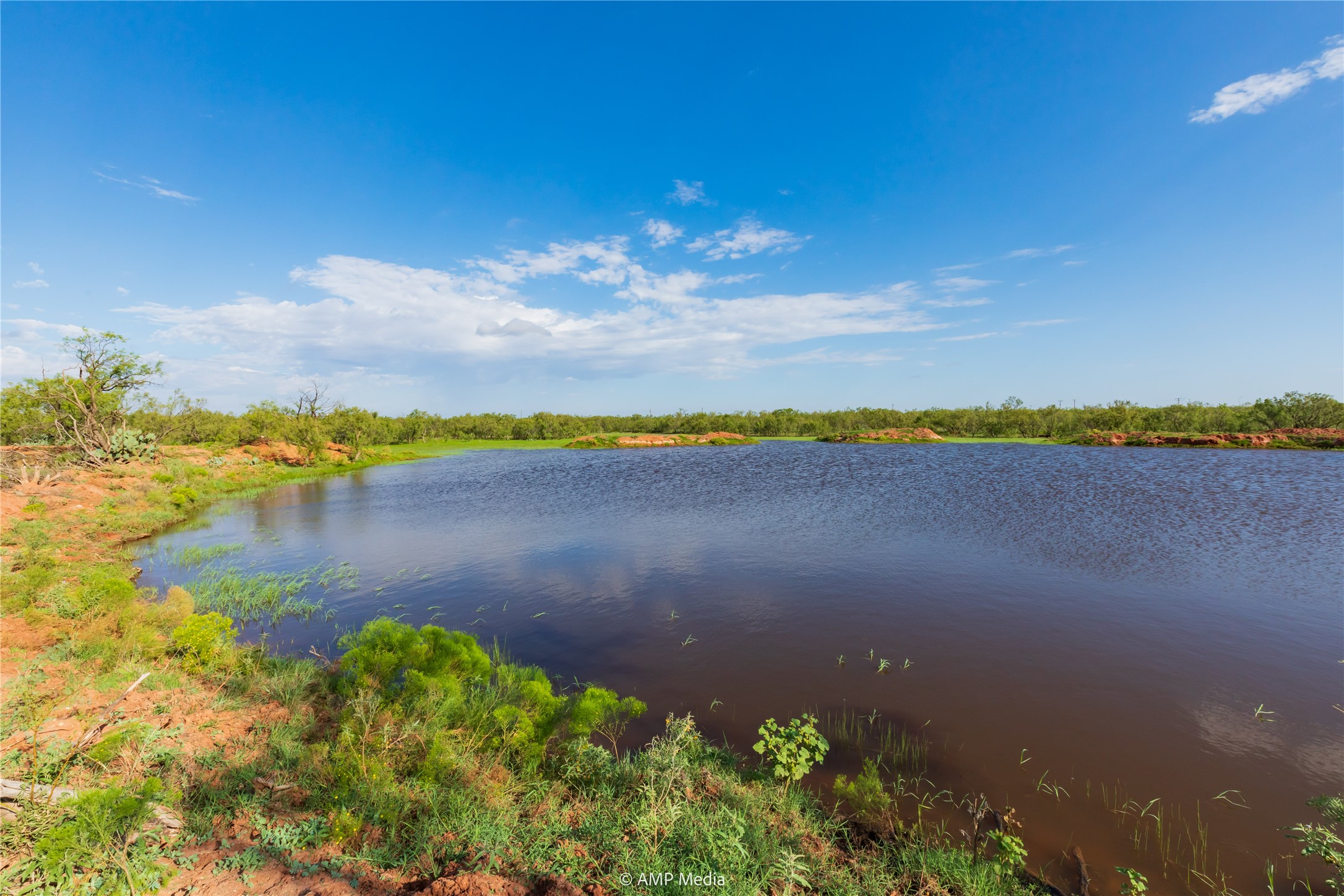 Tbd Cr 252 Colorado City TX 79512