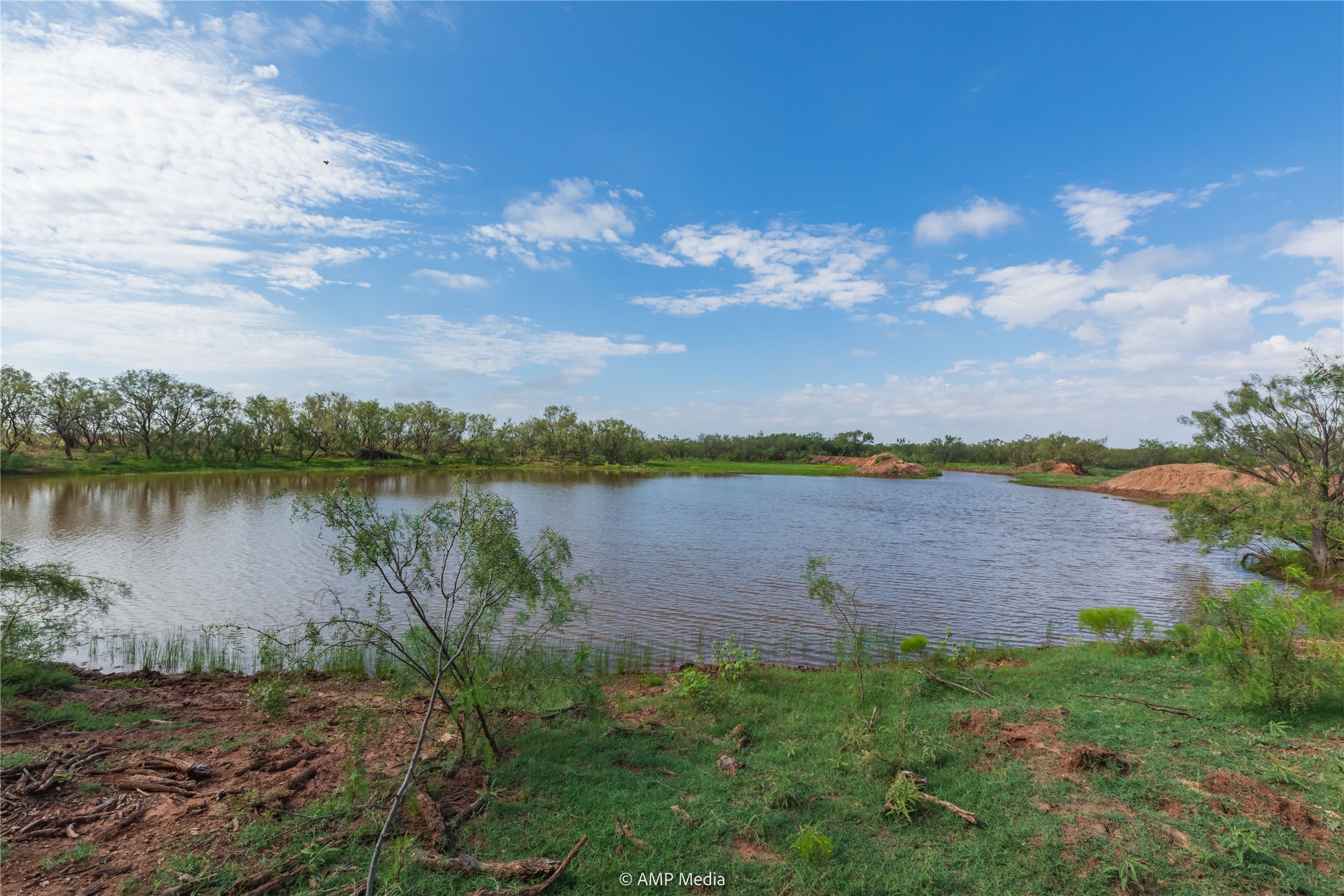 Tbd Cr 252 Colorado City TX 79512