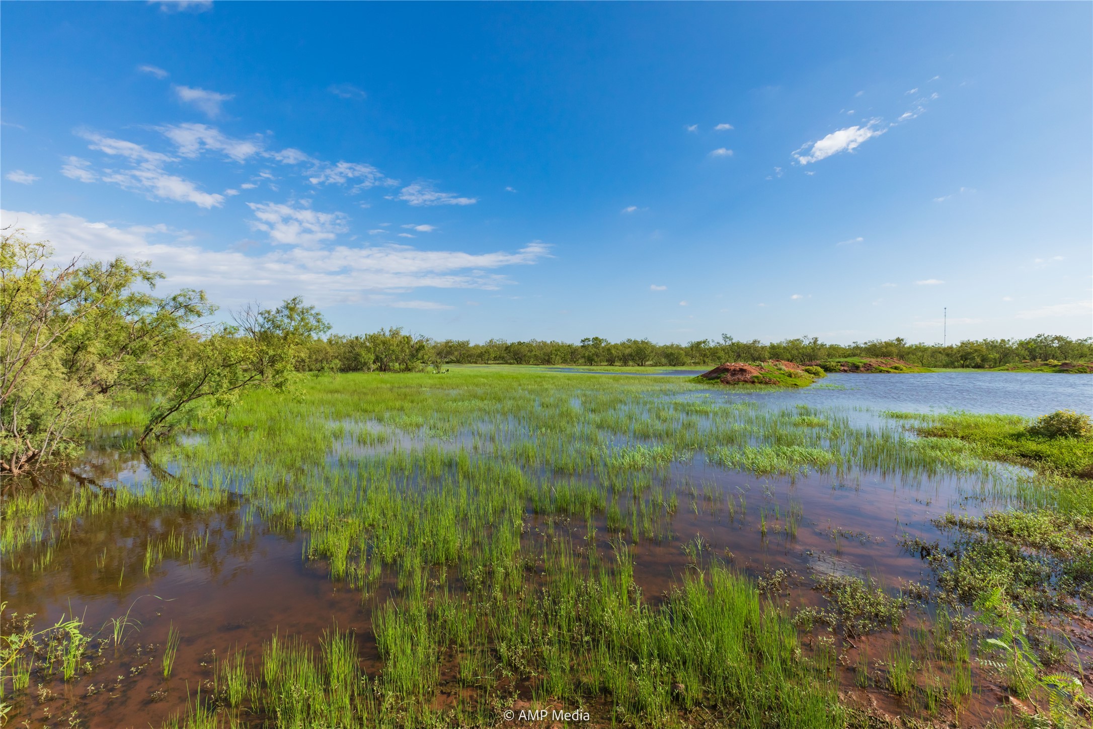 Tbd Cr 252 Colorado City TX 79512