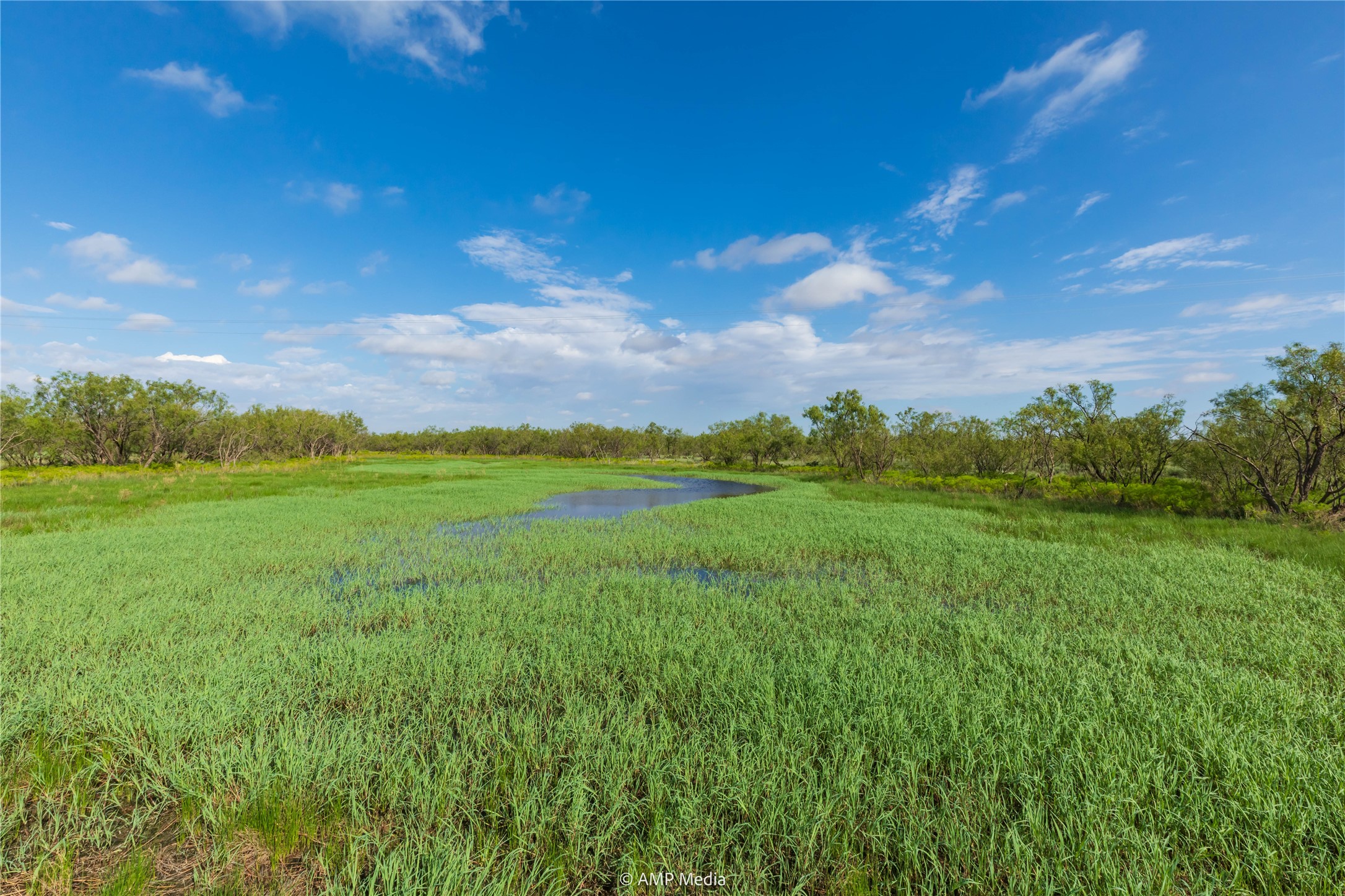 Tbd Cr 252 Colorado City TX 79512