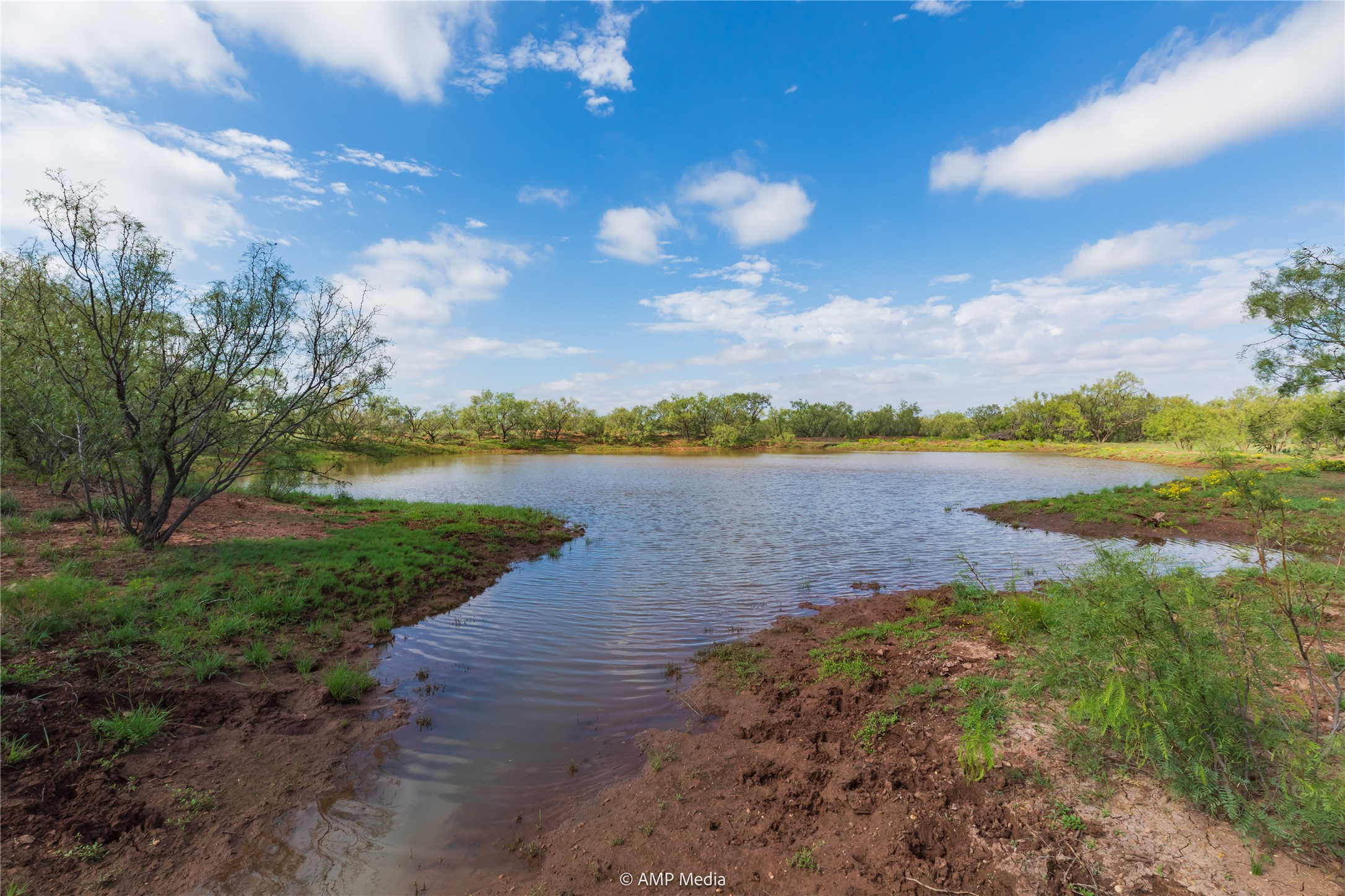 Tbd Cr 252 Colorado City TX 79512