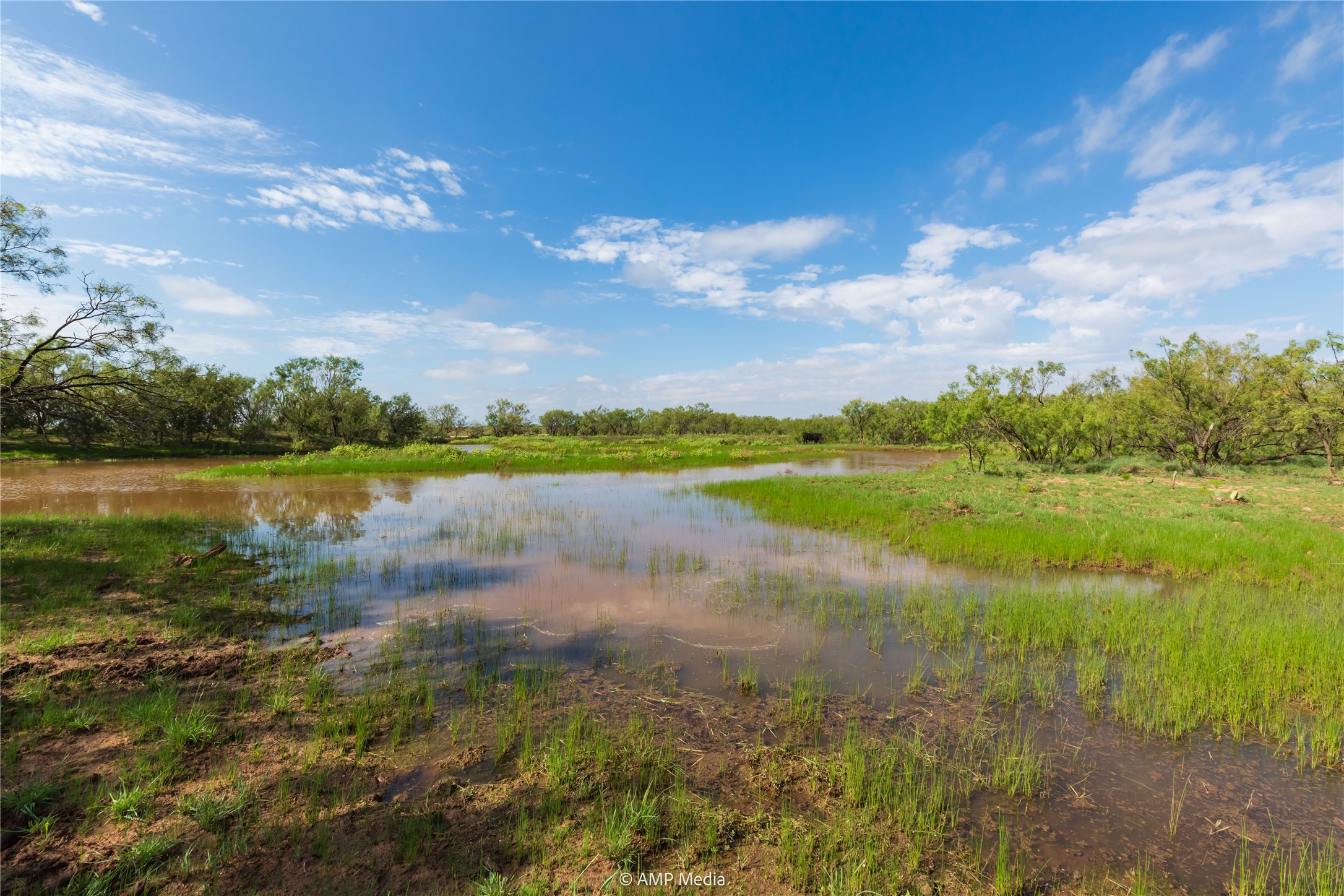 Tbd Cr 252 Colorado City TX 79512