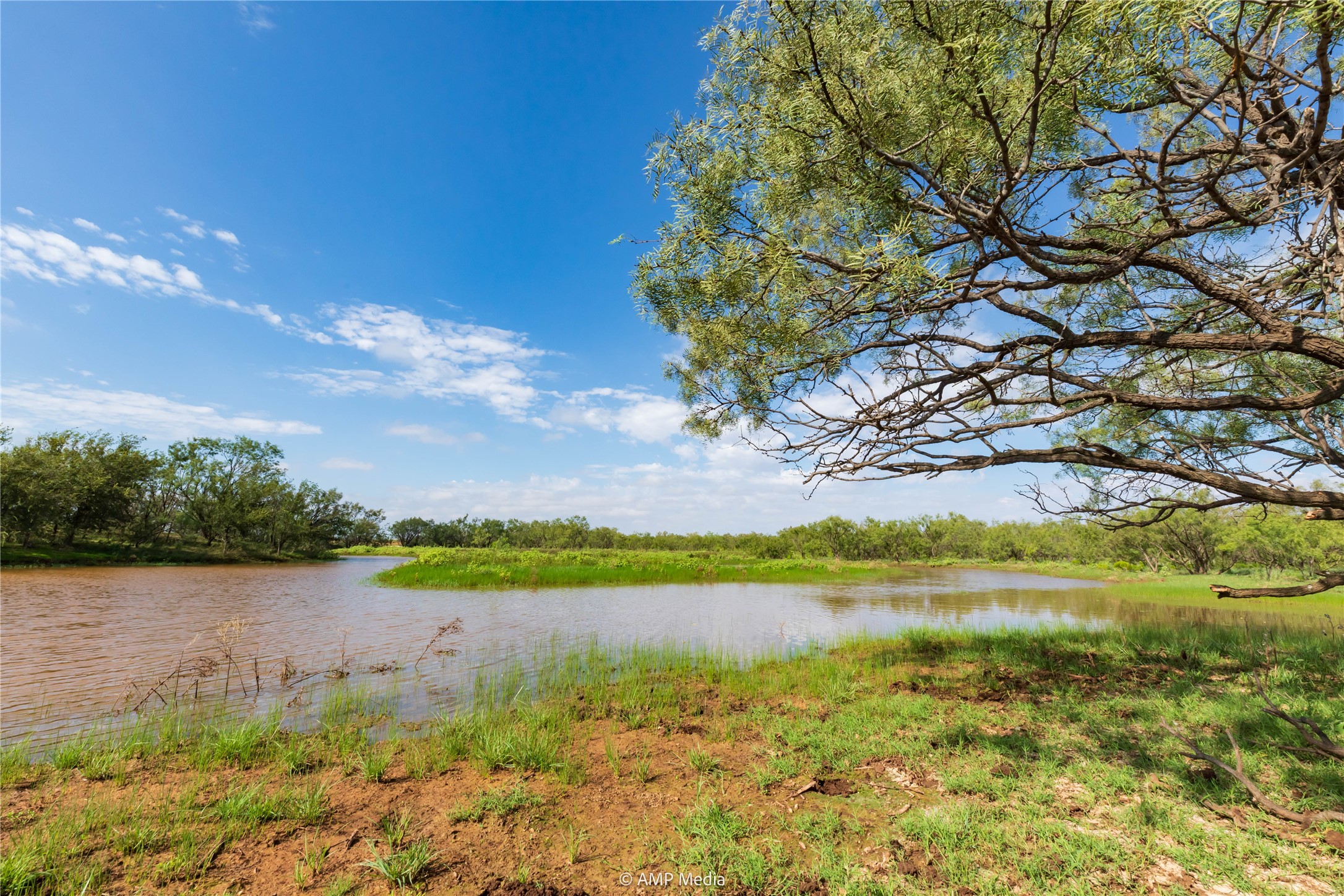 Tbd Cr 252 Colorado City TX 79512