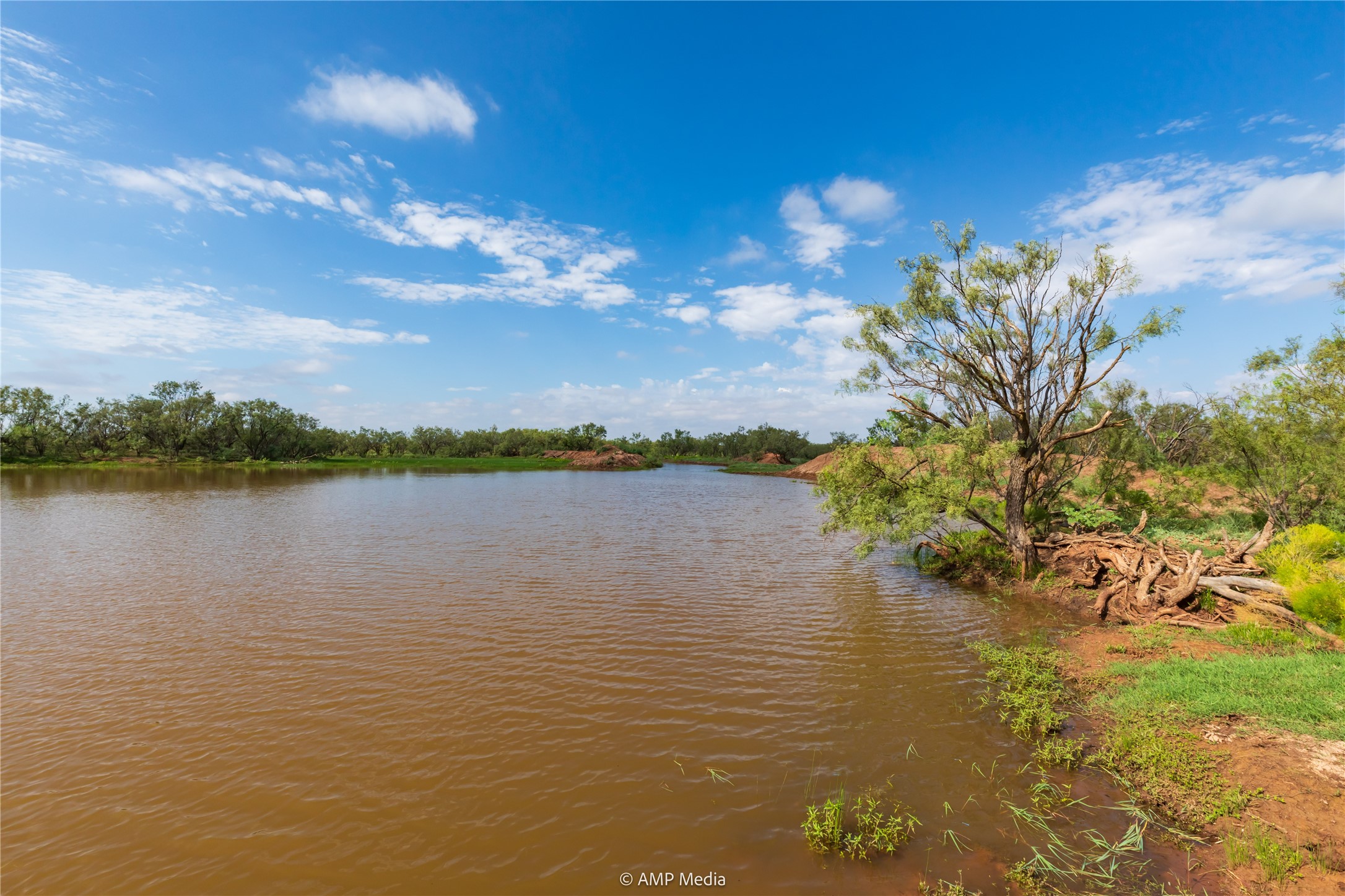 Tbd Cr 252 Colorado City TX 79512