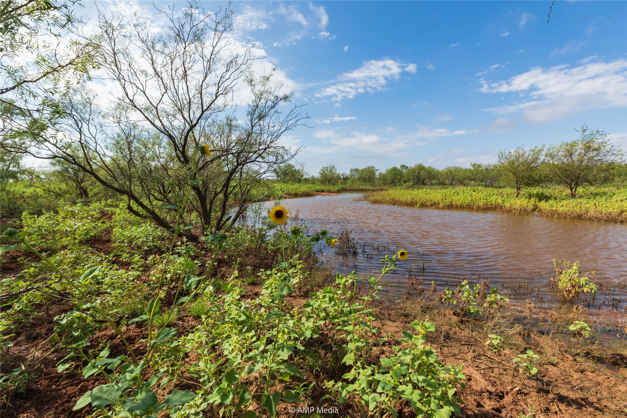 Tbd Cr 252 Colorado City TX 79512