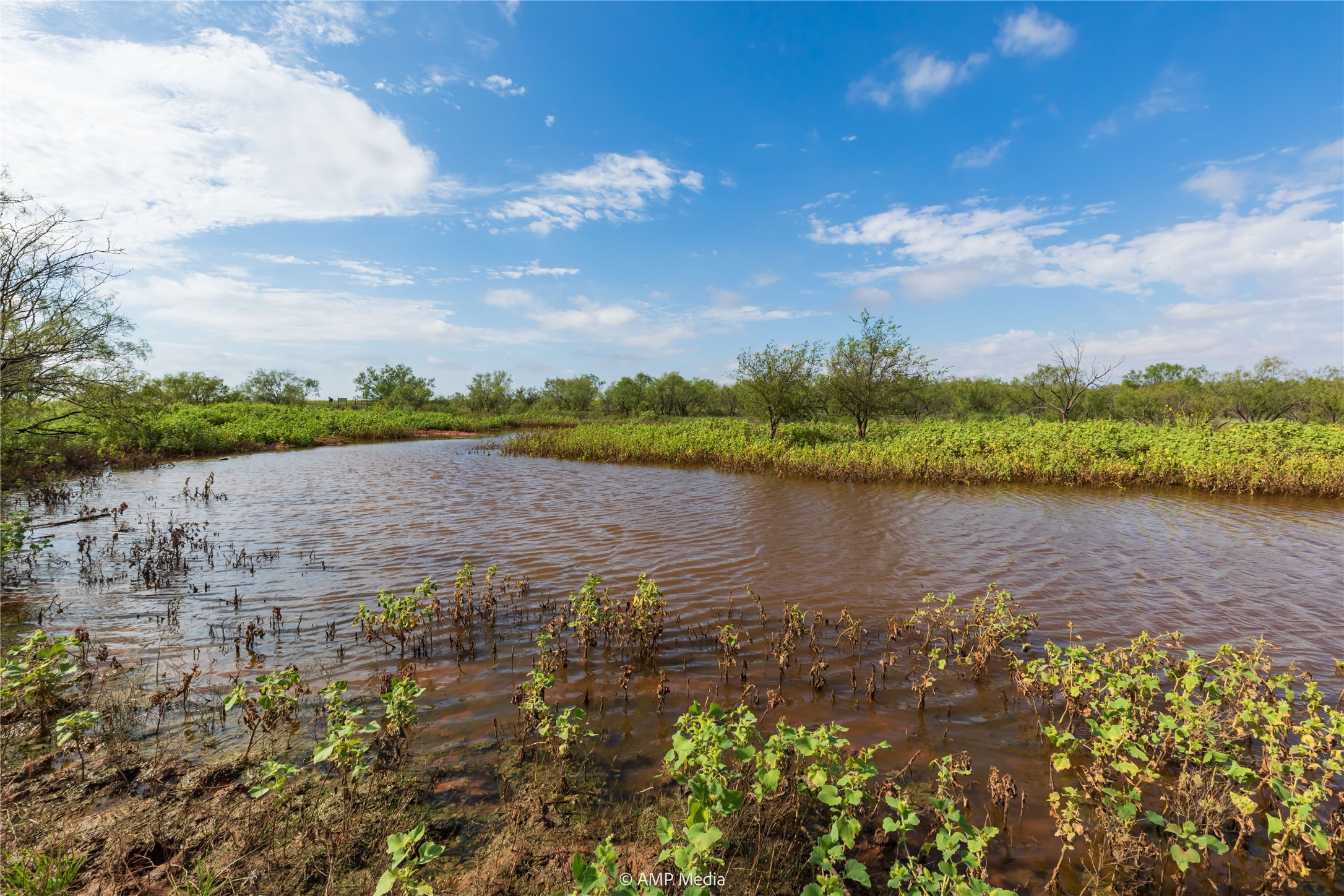 Tbd Cr 252 Colorado City TX 79512