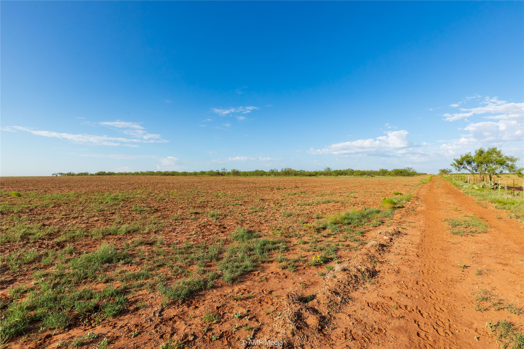 Tbd Cr 252 Colorado City TX 79512