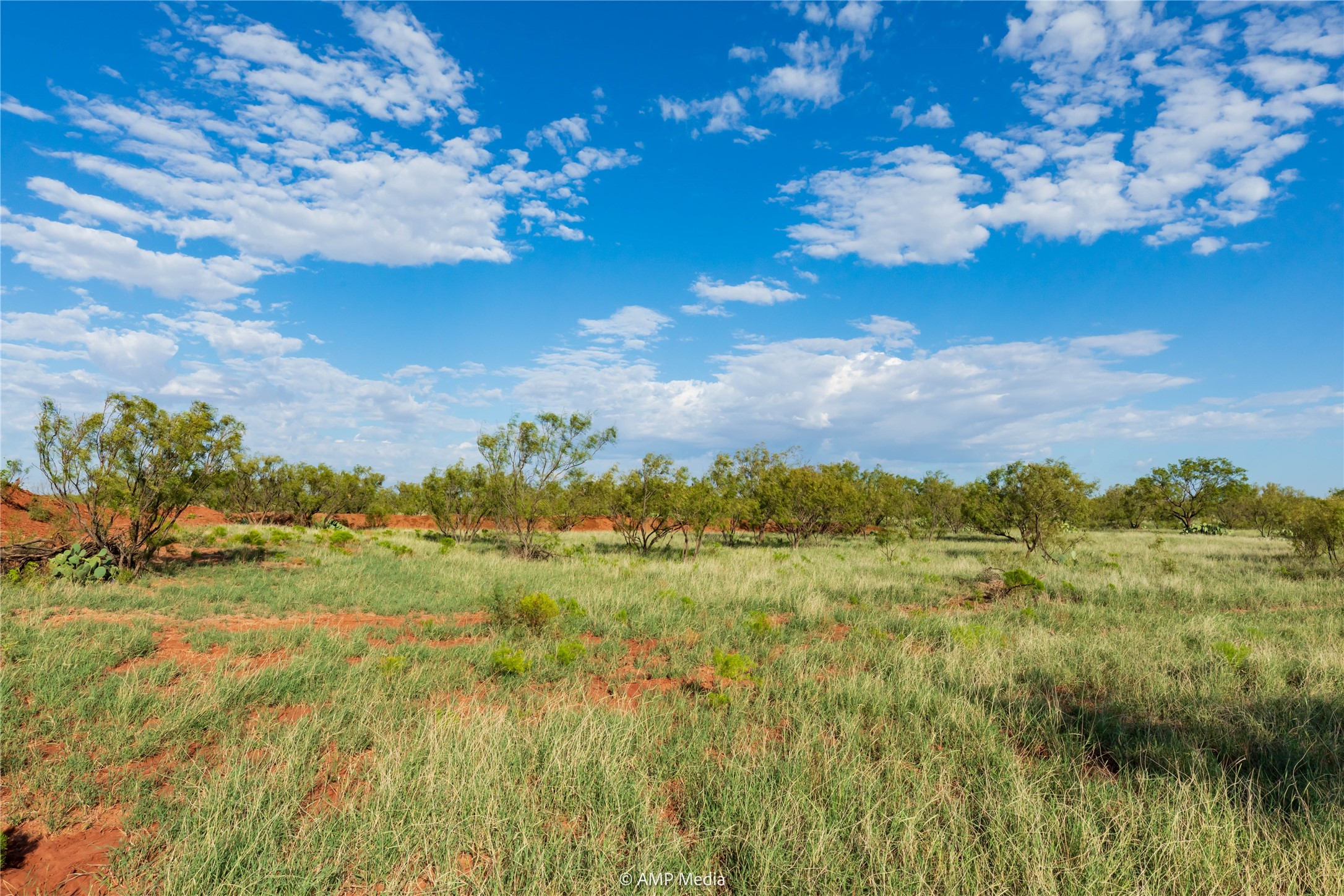 Tbd Cr 252 Colorado City TX 79512