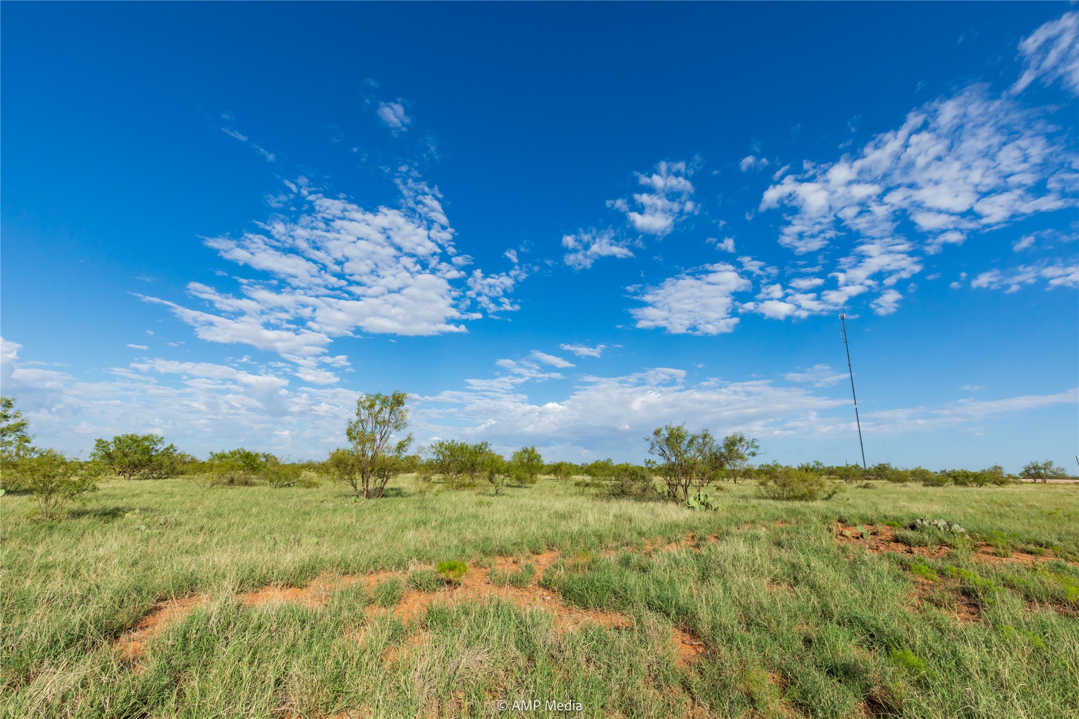 Tbd Cr 252 Colorado City TX 79512