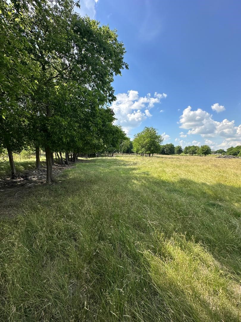 454 Hcr 2129 W Whitney TX 76692
