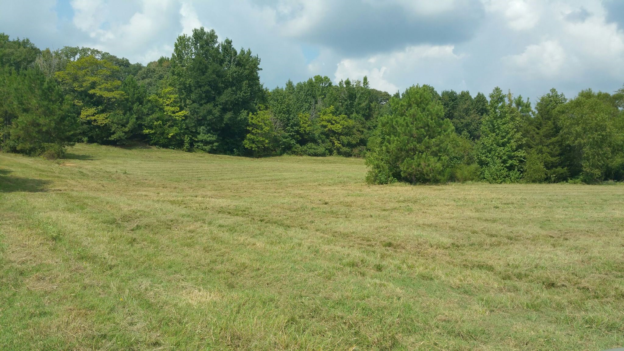 Tbd County Rd 35 Road Tyler TX 75706