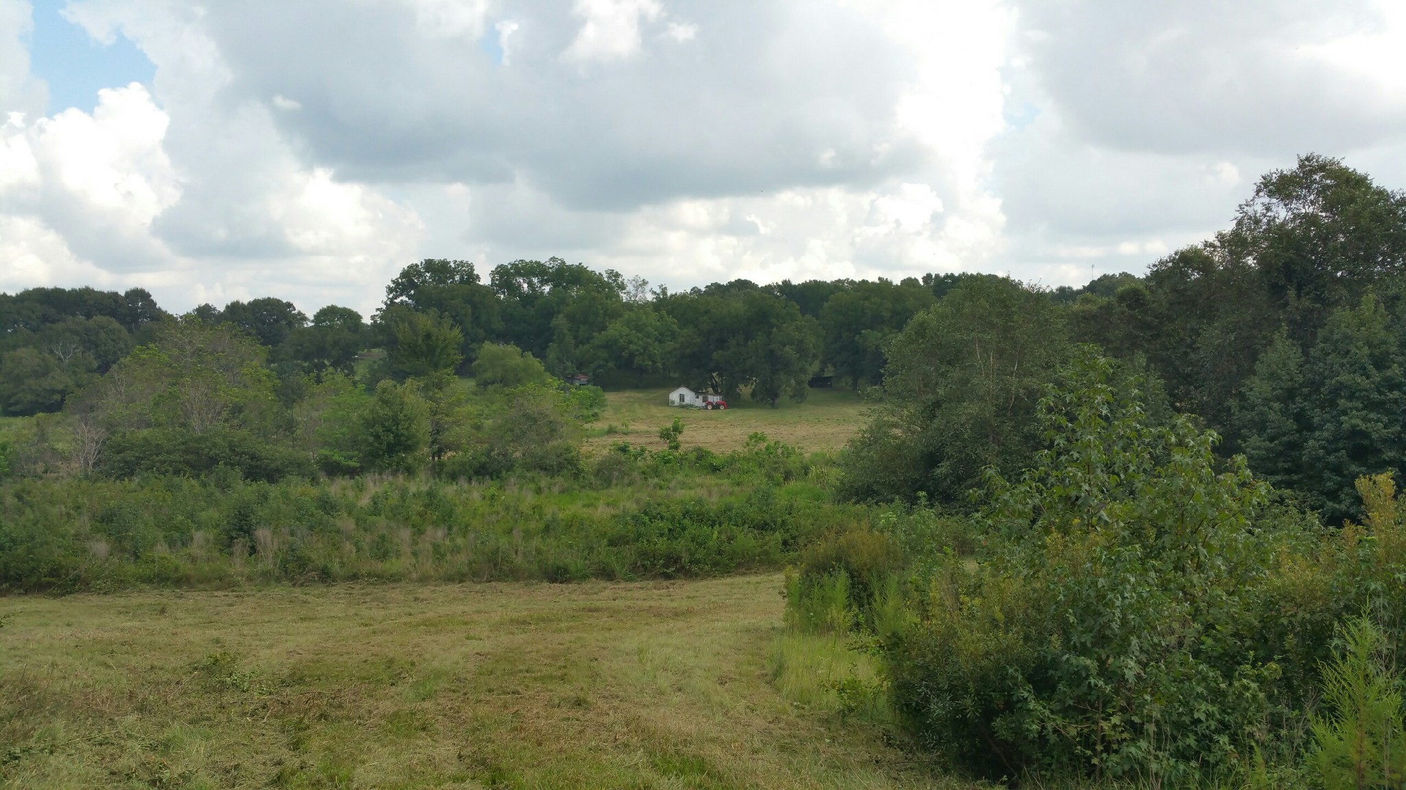 Tbd County Rd 35 Road Tyler TX 75706
