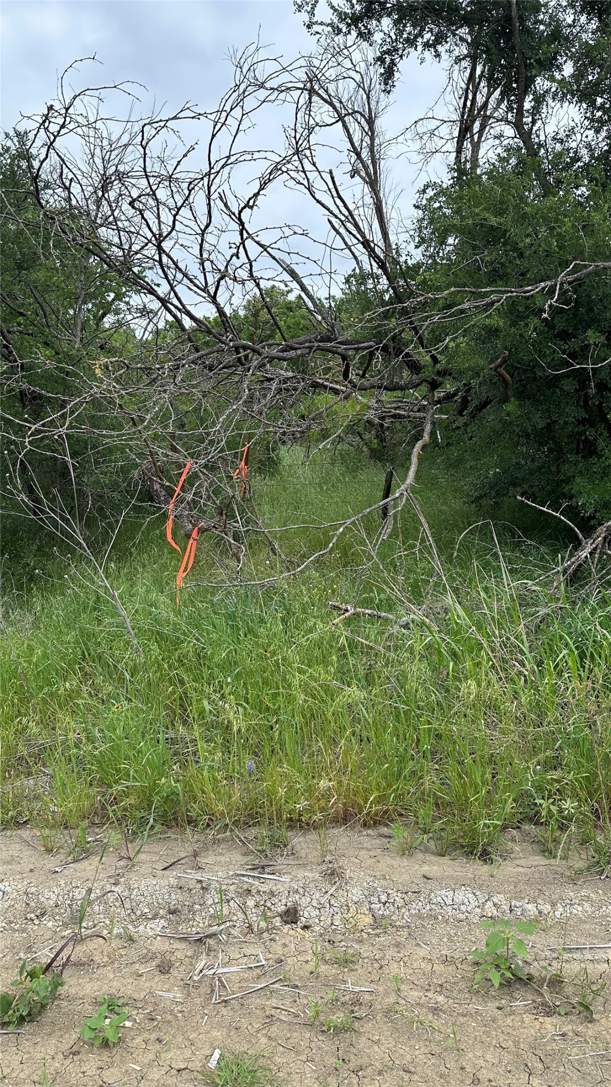 Tbd SW 2320 Wortham TX 76693