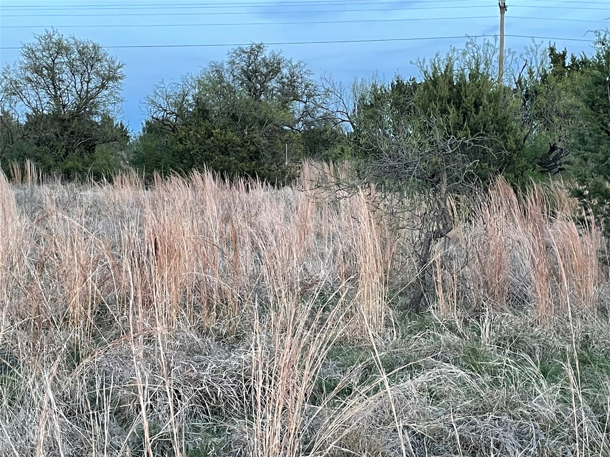 109 Gilmore Court Lipan TX 76462