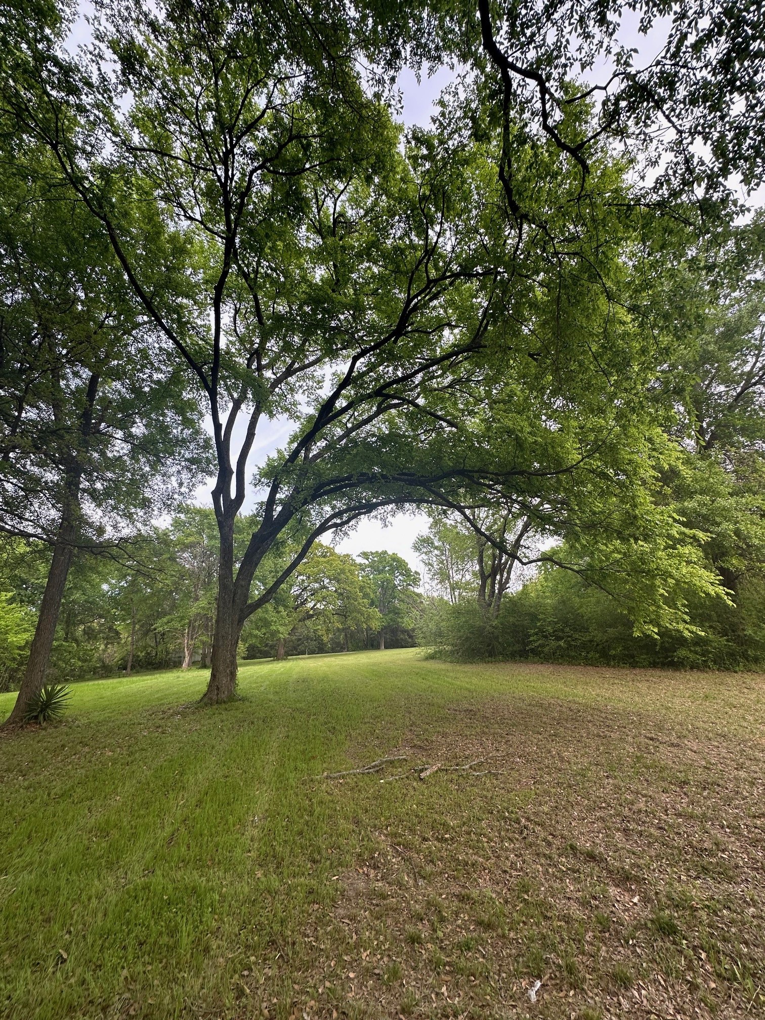 Tbd Merry Oaks Lane Eustace TX 75124