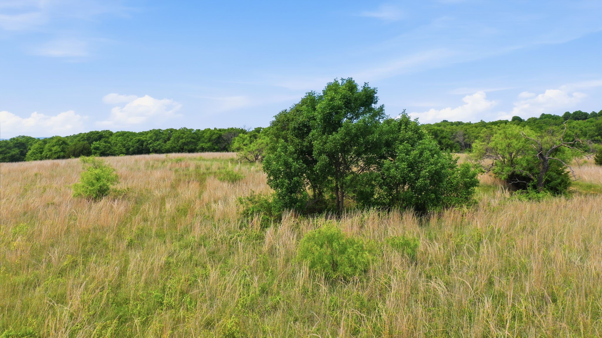 2050 Mustang Ridge Perrin TX 76486