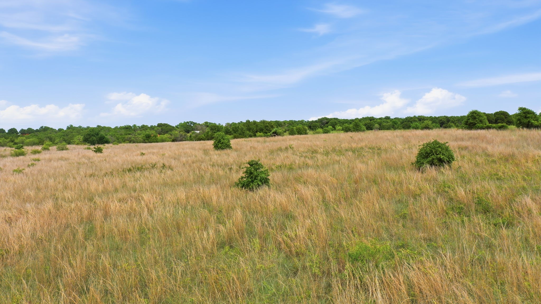 2050 Mustang Ridge Perrin TX 76486