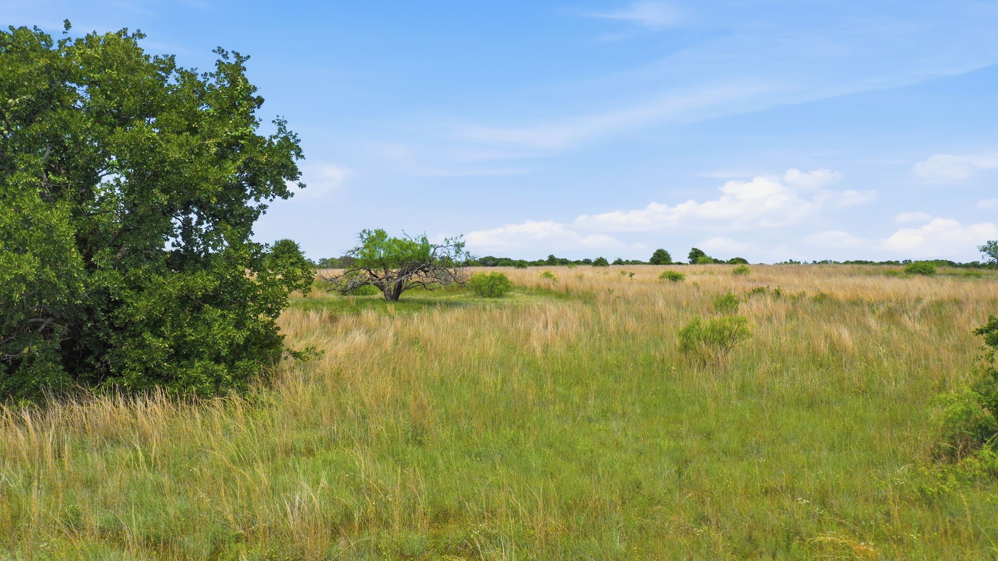 2050 Mustang Ridge Perrin TX 76486