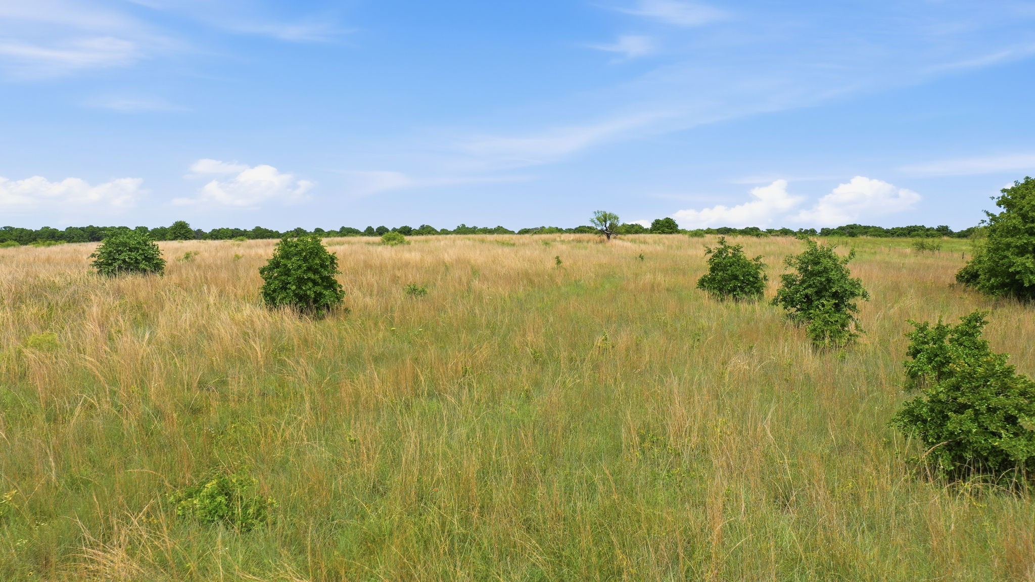 2050 Mustang Ridge Perrin TX 76486