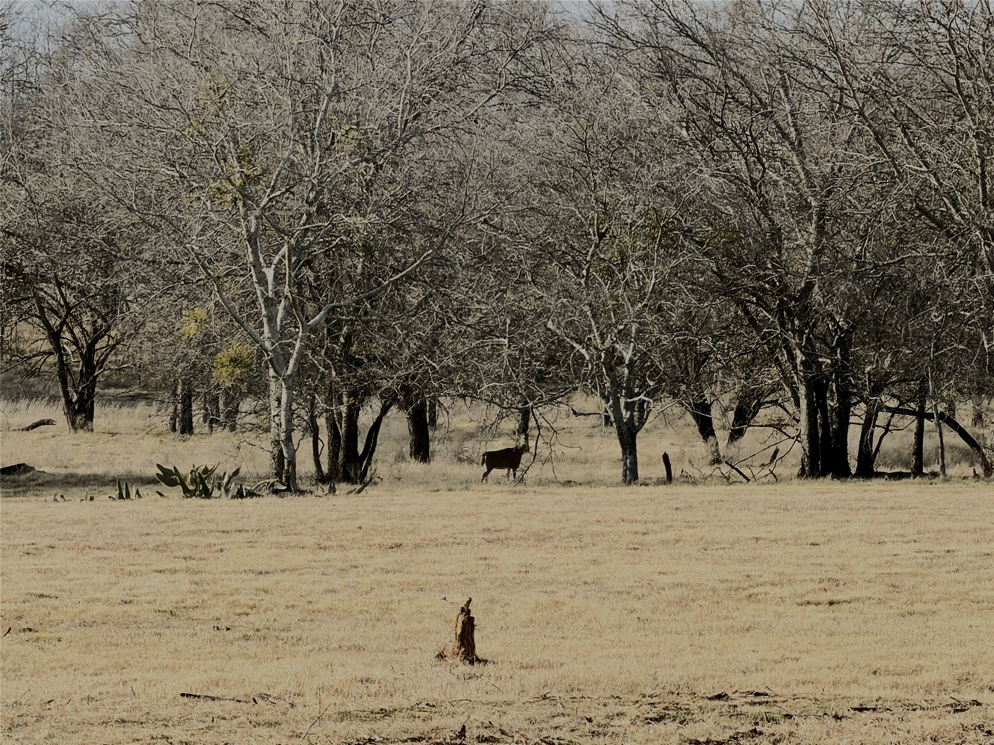Lot 13 Lakewood Drive Whitney TX 76692