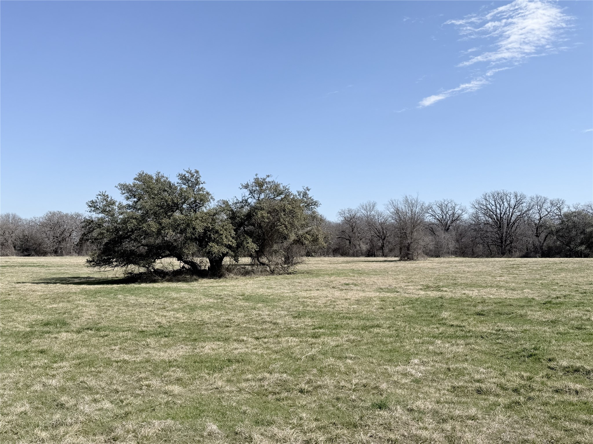 Lot 13 Lakewood Drive Whitney TX 76692